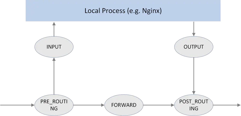 proxy_hooks_hu62043a03770f01a83f301a079b6e661d_90689_1200x1200_fit_q75_h2_lanczos_3.jpg